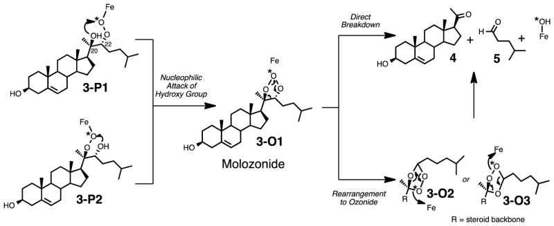 Scheme 8