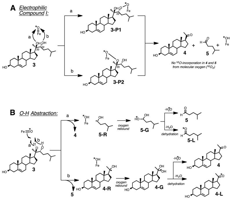 Scheme 2