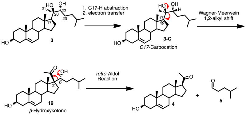 Scheme 7