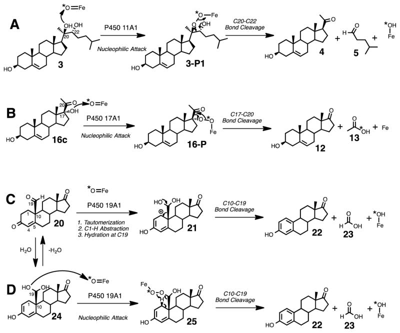 Scheme 10