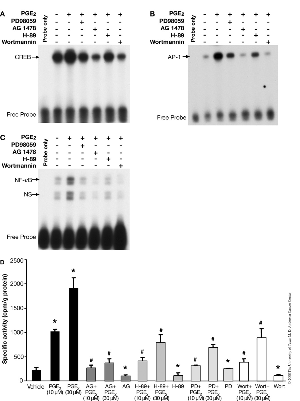 FIGURE 3