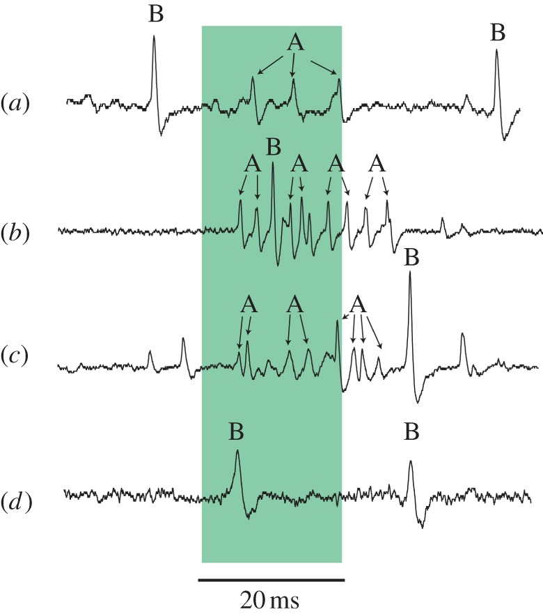 Figure 2.