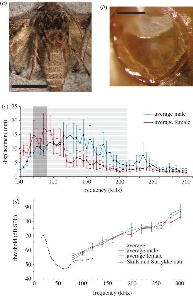 Figure 1.
