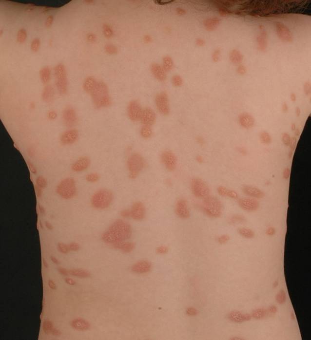 graphic file with name 105_2023_5168_Fig2_HTML.jpg