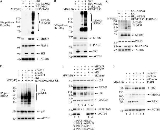 FIGURE 4.