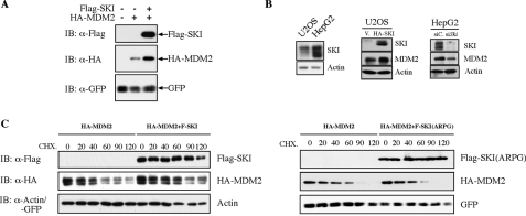 FIGURE 3.