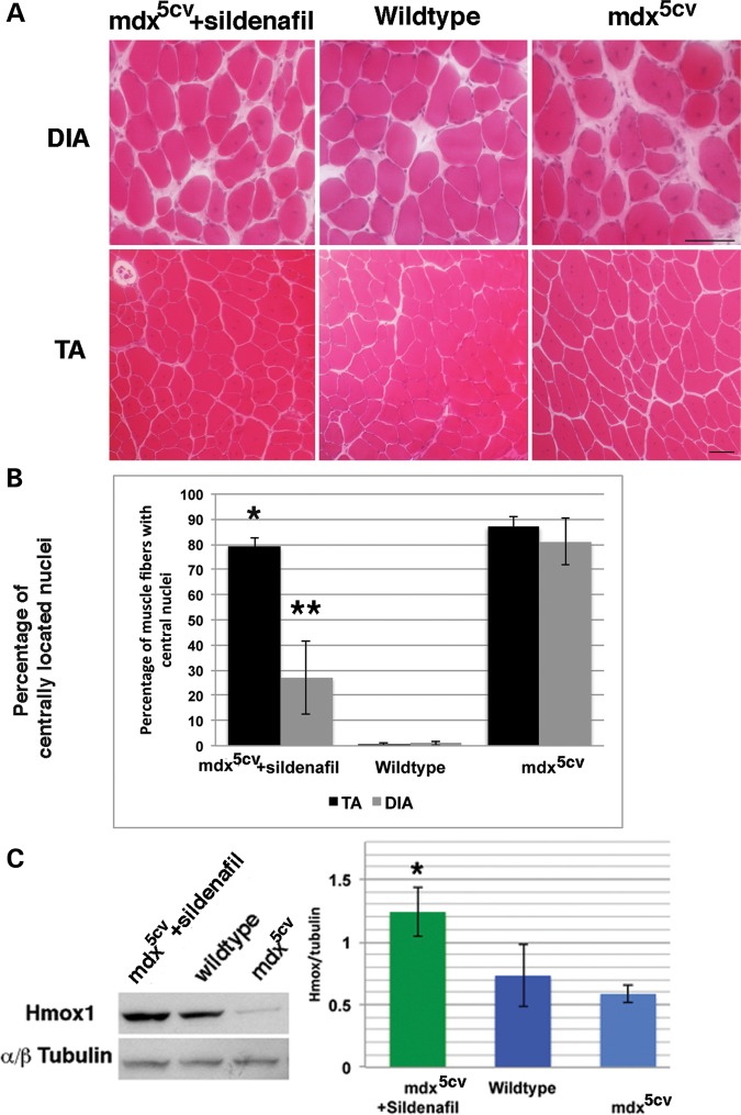 Figure 4.