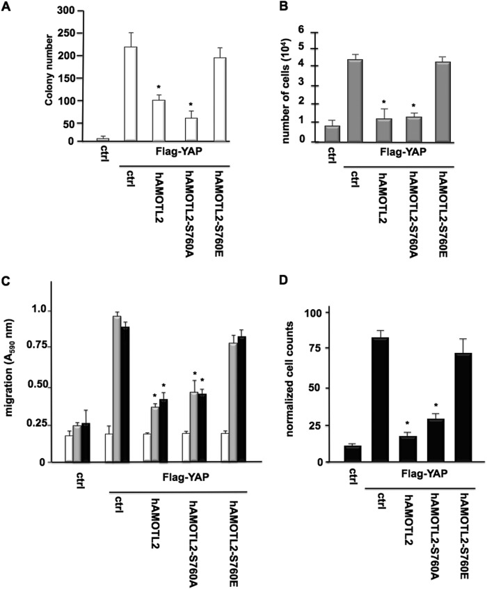 FIGURE 5.