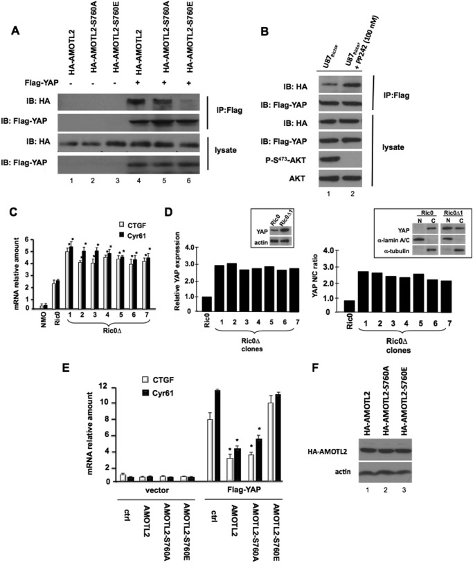 FIGURE 4.