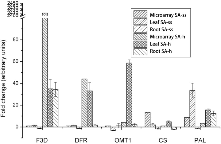 FIGURE 4