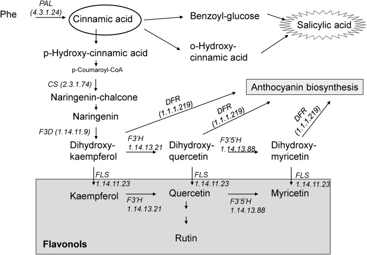 FIGURE 1