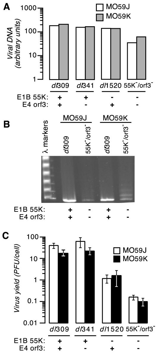 FIG. 4.