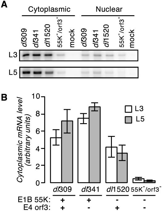 FIG. 5.