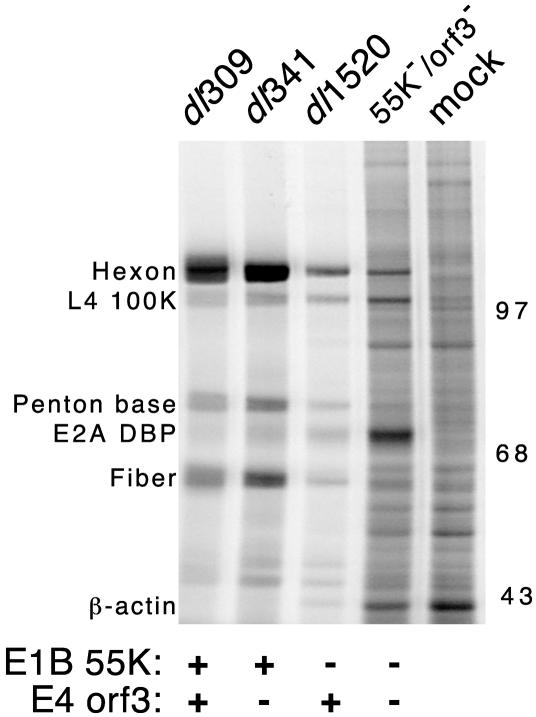 FIG. 6.