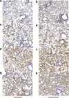 <b>Figure 4</b>