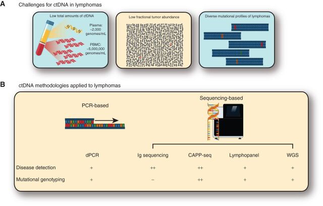 Figure 2. Current challenges for ctDNA in lymphomas across common methodologies. A, Analysis of ctDNA in lymphoma has many challenges, including some shared in other cancer types and some more specific to lymphoma. These include: (i) a significantly lower amount of total DNA in the plasma compared with peripheral blood mononuclear cells (PBMC; left), (ii) a low proportion of tumor-derived molecules in the plasma compared with all molecules (middle), and (iii) the diverse mutational profiles of lymphomas. B, To overcome these challenges, several different approaches have been taken. These include both PCR-based and sequencing-based approaches. Each of these methods has distinct performance characteristics for both disease detection or mutational genotyping, which is qualitatively shown here. For additional details on performance between different methods for disease detection, see Table 2. CAPP-seq, cancer personalized profiling by deep sequencing; dPCR, digital PCR; WGS, whole-genome sequencing.