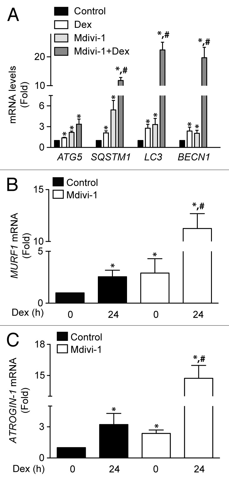 Figure 7. 