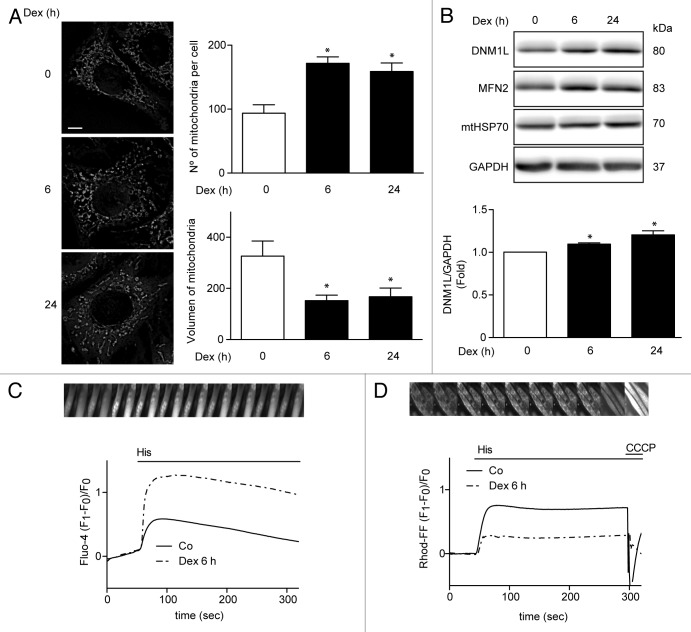 Figure 3. 