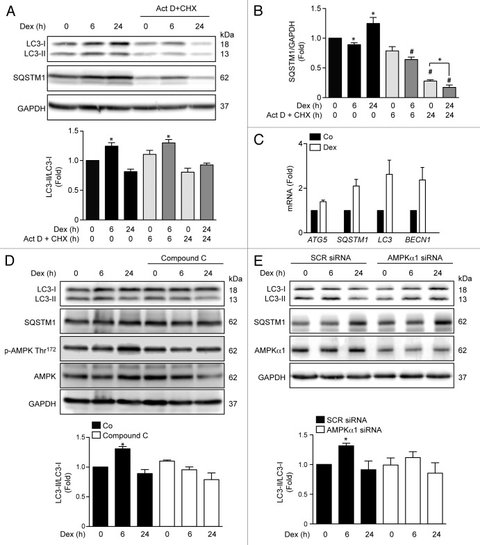 Figure 2. 