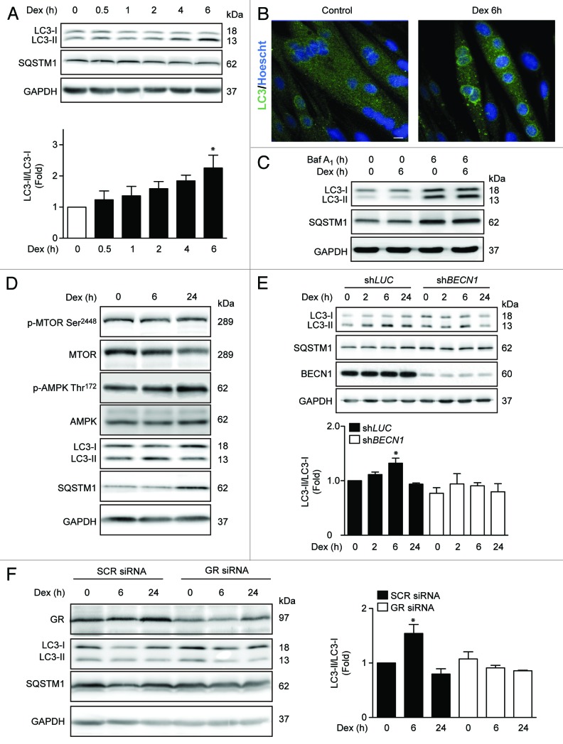 Figure 1. 