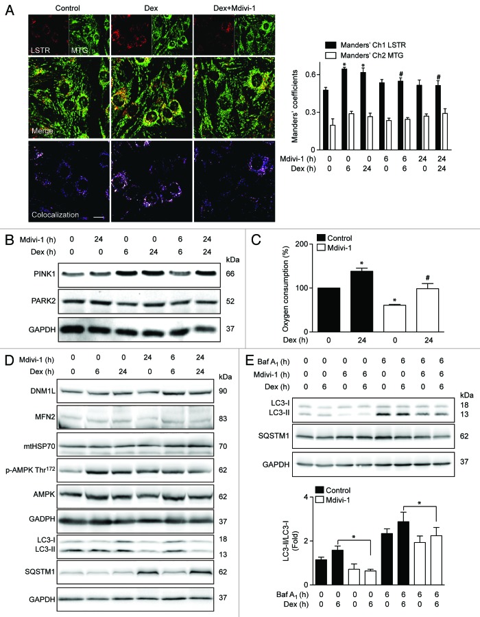 Figure 6. 