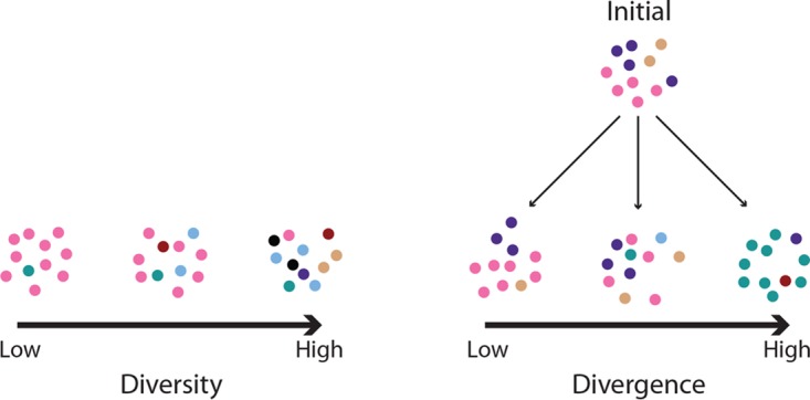 FIG 1 