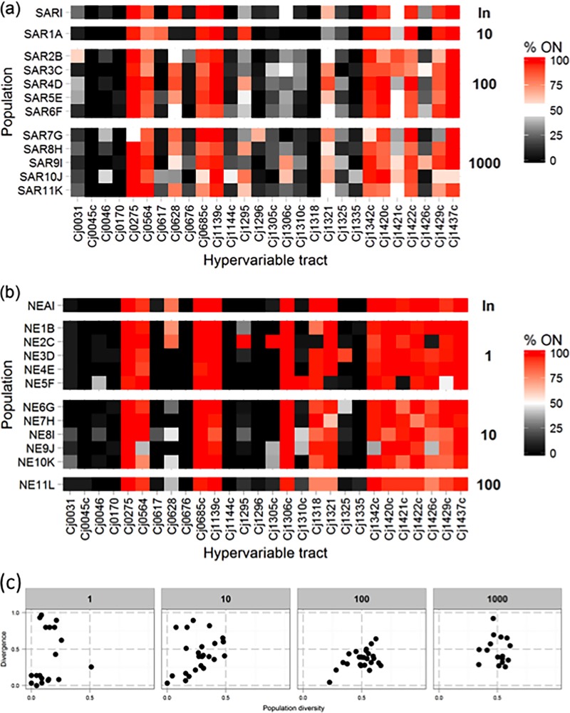 FIG 2 