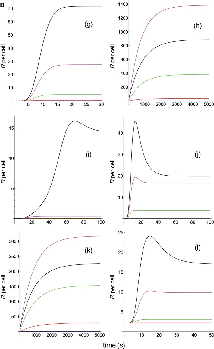 Figure 5B