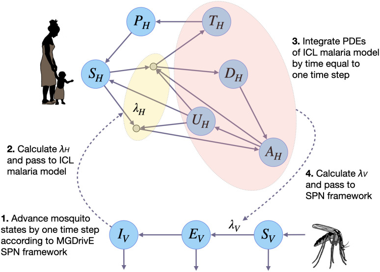 Fig 1