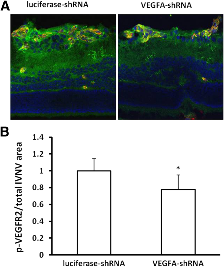 Figure 7