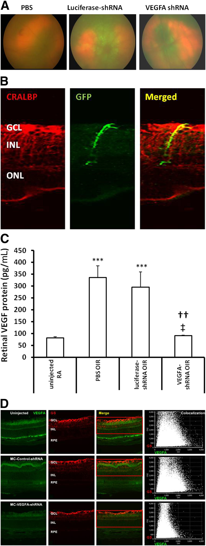 Figure 4