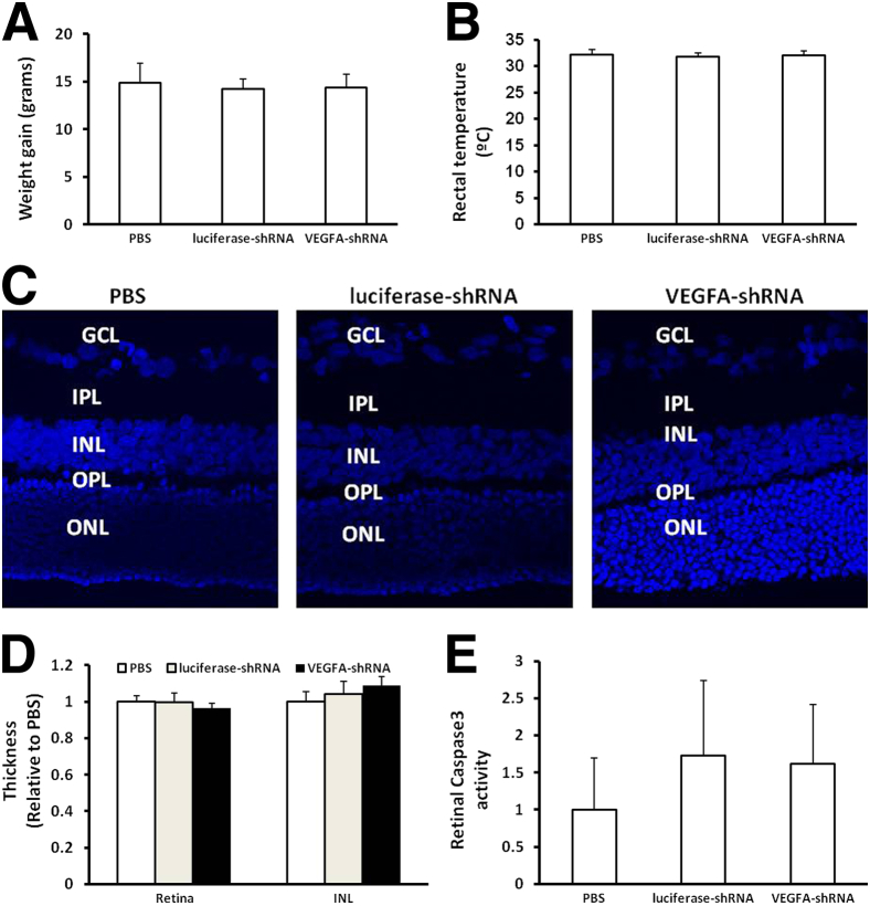 Figure 6