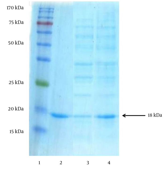 Figure 4.