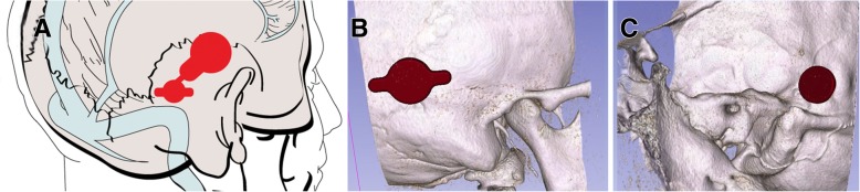 Fig. 6