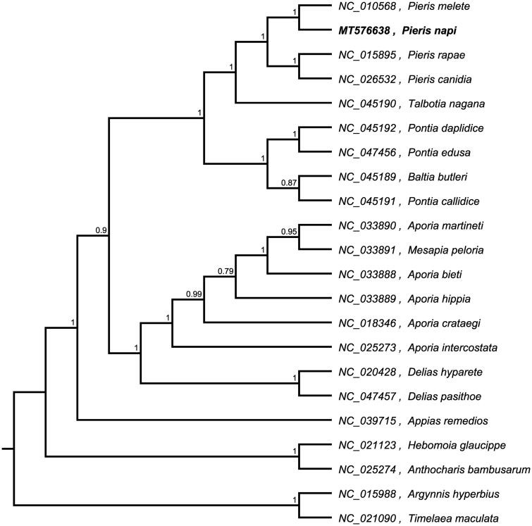 Figure 1.