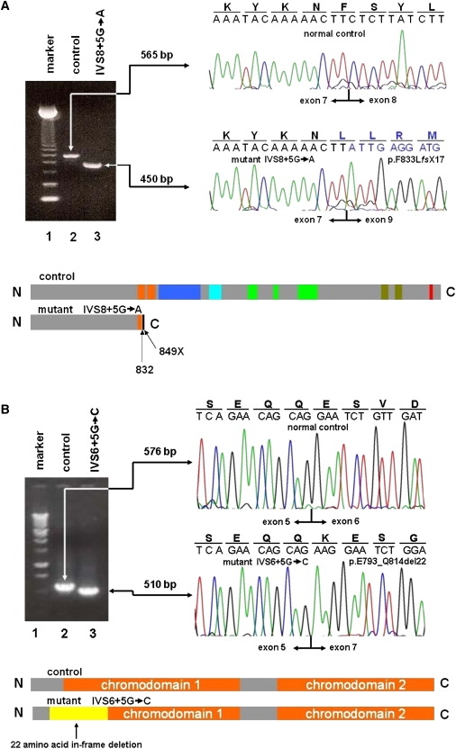 Figure 2