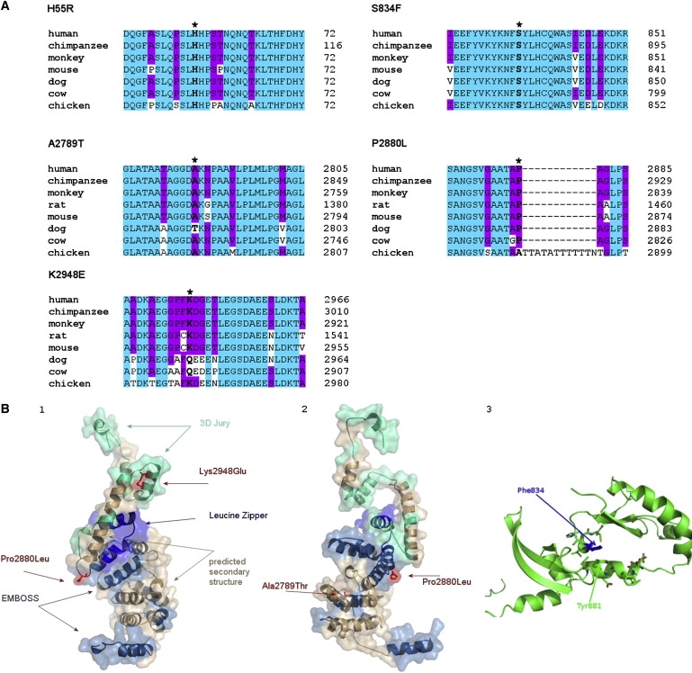 Figure 3