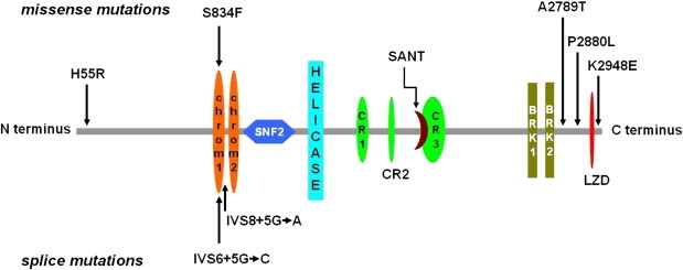 Figure 1