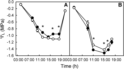 Fig. 5.