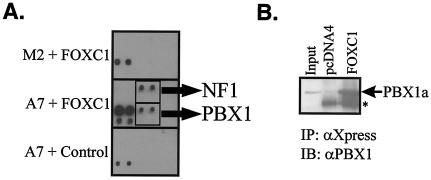 FIG. 5.