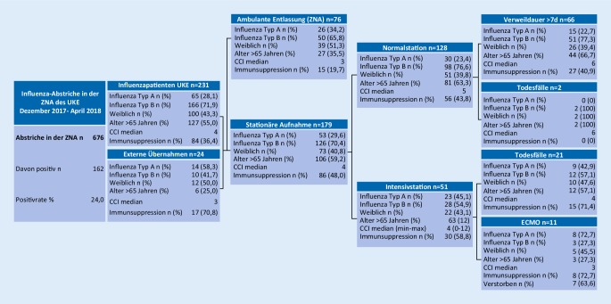 graphic file with name 103_2019_2976_Fig2_HTML.jpg