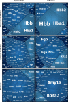 FIG 3