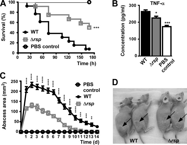 FIG 6