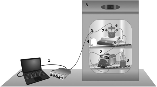 FIG. 1.