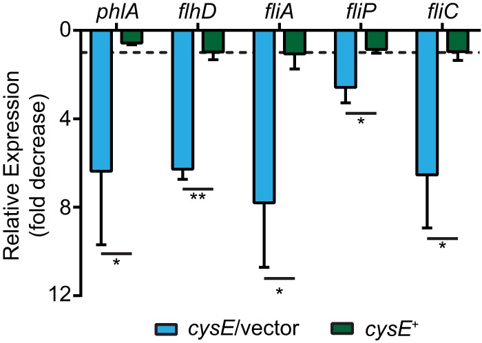 FIG 6