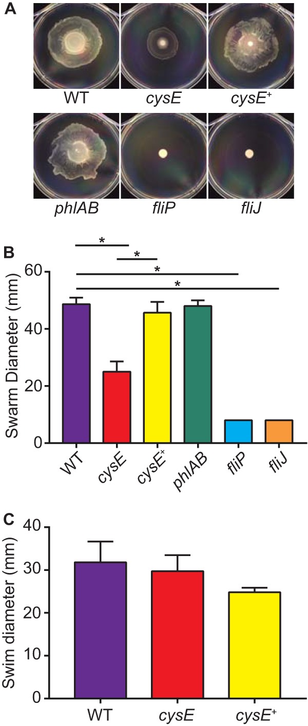 FIG 5