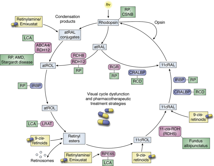 Figure 4