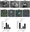 FIG 2