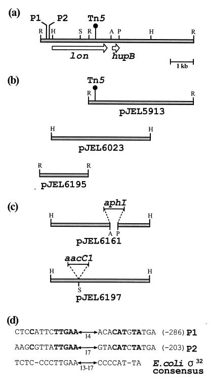 FIG. 1