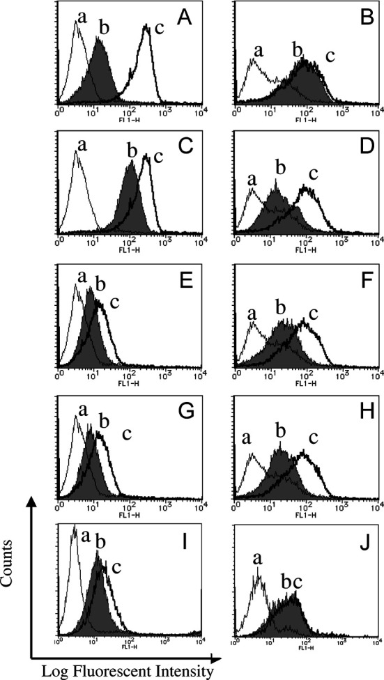 Fig. 2A–J